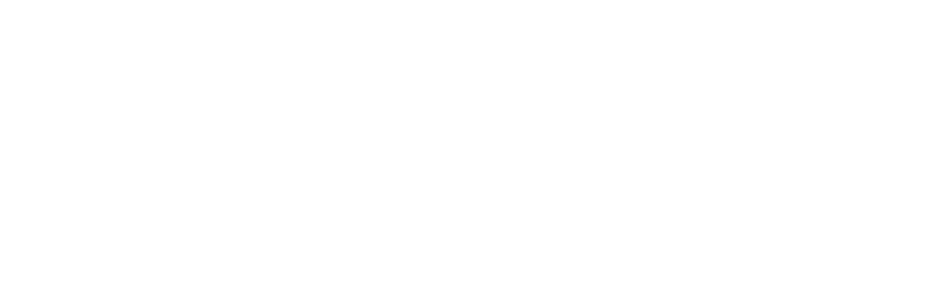 Aari Rahoitus